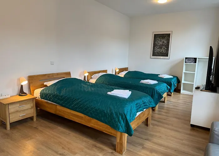 3 Rooms, Free Parking, 25 Min To Duesseldorf, 200 Mbps Wlan Appartement *